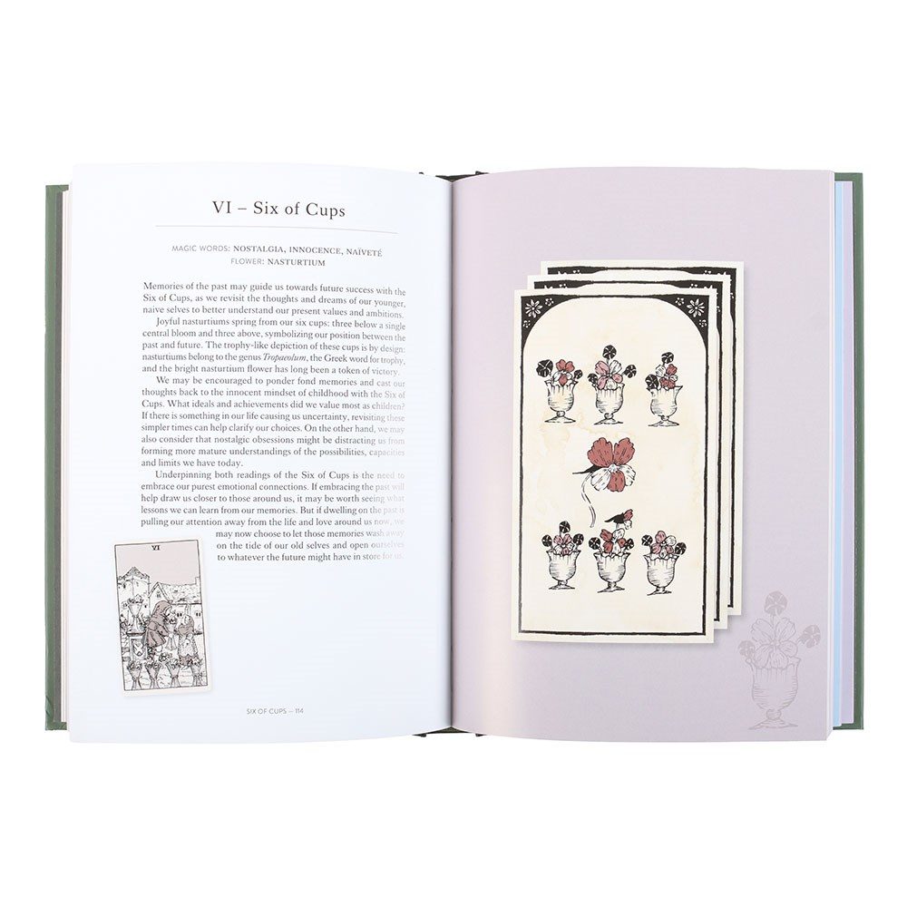 Something Different - You Will Be Able to Read Tarot by the End of This Book Boek - Multicolours